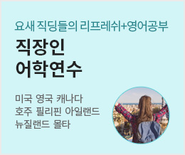 요새 직딩들의 리프레쉬+영어공부 직장인 어학연수 - 미국 영국 캐나다 호주 필리핀 아릴랜드 뉴질랜드 몰타